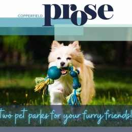Be the Person Your Dog Thinks You Are & Lease a Brand New Apartment at Prose Copperfield!
A Sparkling Resort-Style Pool π΄, Luxury Interiors π, and TWO DOG PARKS! πΆπΆ
Schedule a Tour of Your New Home Today - Pre-Leasing for August 19th Move-Ins
One Month FREE Up Front & Waived Application Fees!
.
.
.
.
.
#prosecopperfield #copperfieldcommunityapts #onemonthfree #dogs #dogpark #petfriendly #brandnew #apartmentlife #houstontx #movetotexas #apartments #cyfair #cfisd #luxury Instagram post from @porterstreetapts on June 20, 2022 14:52:08pm